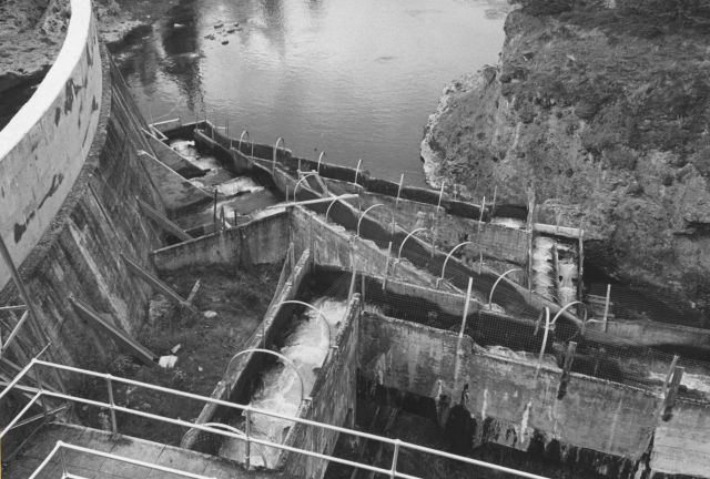 River Mill Dam fish ladder Picture