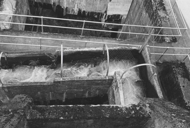 River Mill Dam fish ladder Picture