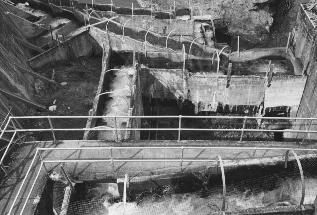 River Mill Dam fish ladder Picture