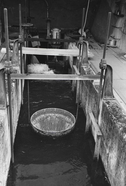 River Mill Dam fish counter Picture