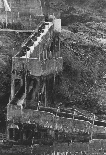 River Mill Dam fish ladder Picture