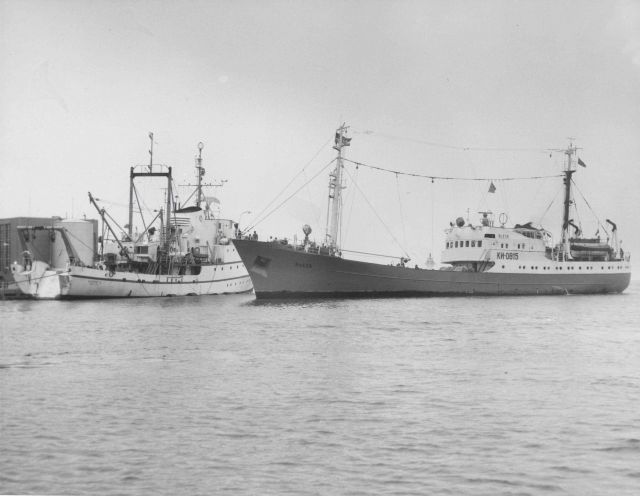 Russian ship BLESK tieing up alongside NOAA vessel ALBATROSS IV in Woods Hole, to prepare for groundfish survey. Picture