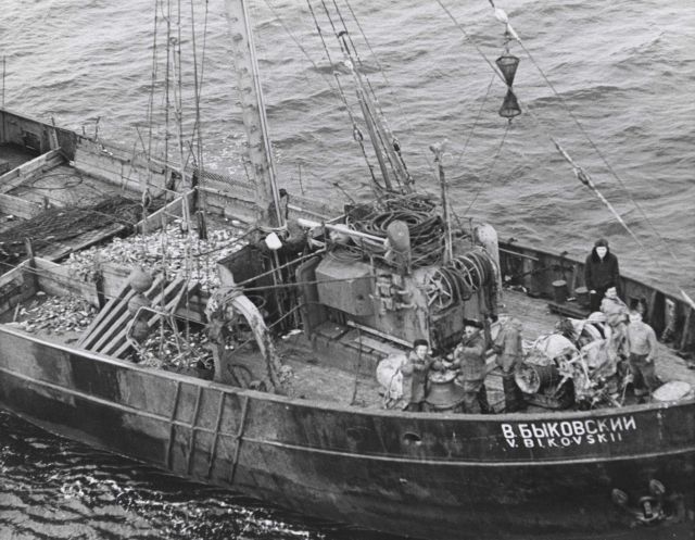 The Soviet side trawler V Picture