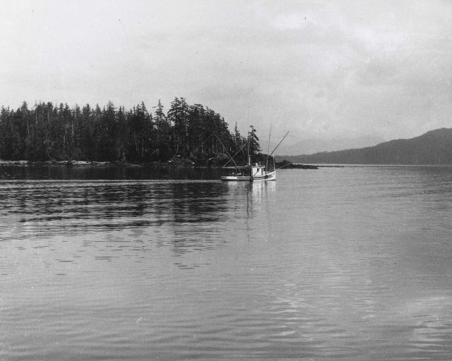 Salmon troller fishing Picture