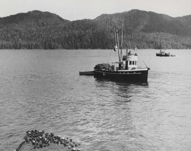 Salmon purse seiner Picture