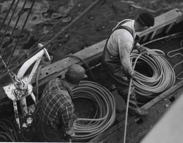 Preparing lines for salmon longlining Picture