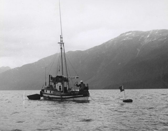Setting buoy to mark end of salmon longline Picture