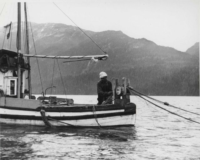 Recovering salmon longline Picture