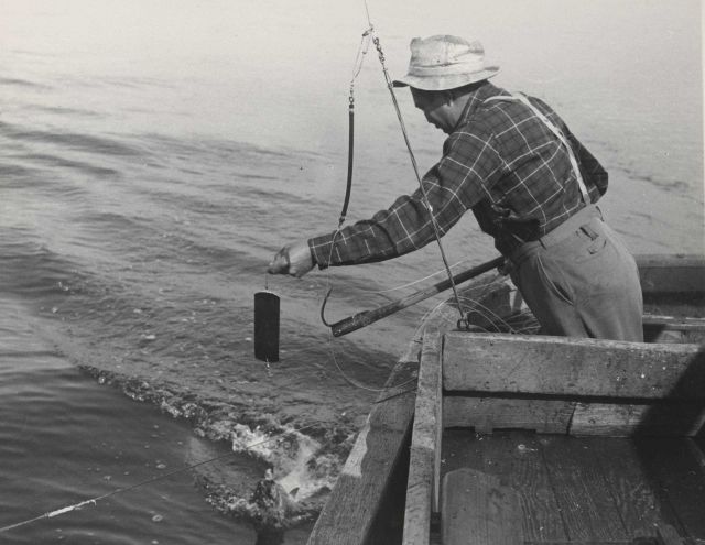 Hauling in a salmon caught by hook and bait on troller Picture