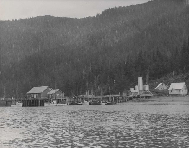Buying station for troll-caught salmon. Picture