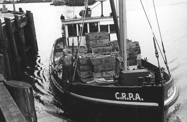 Columbia River Packers Association (CRPA) boat about to dock with load of salmon acquired from commercial salmon vessels. Picture