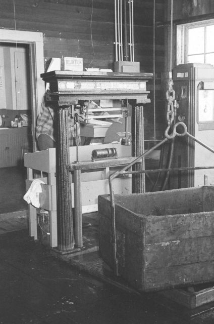 Weighing salmon at the Bumble Bee Company processing facility Picture