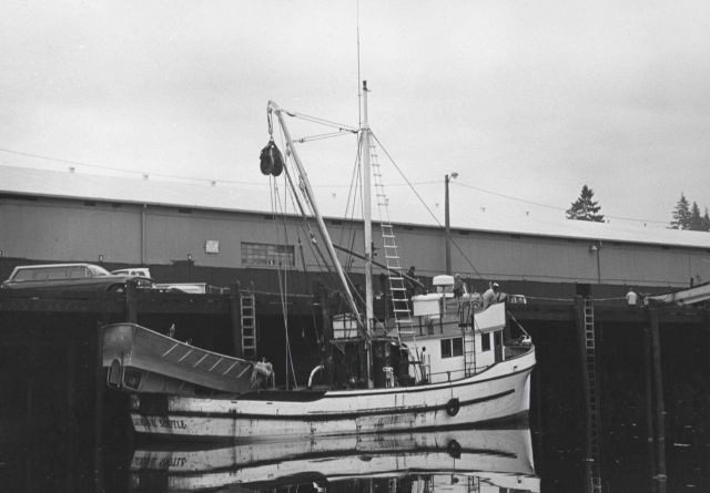 The salmon boat LAURIANNE Picture