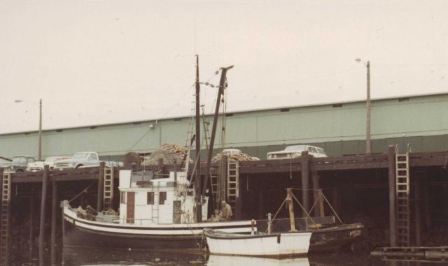 The salmon boat PT Picture