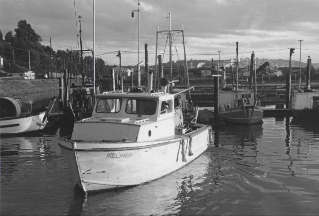 Salmon gill net boat MELINDA with captain at the wheel Picture