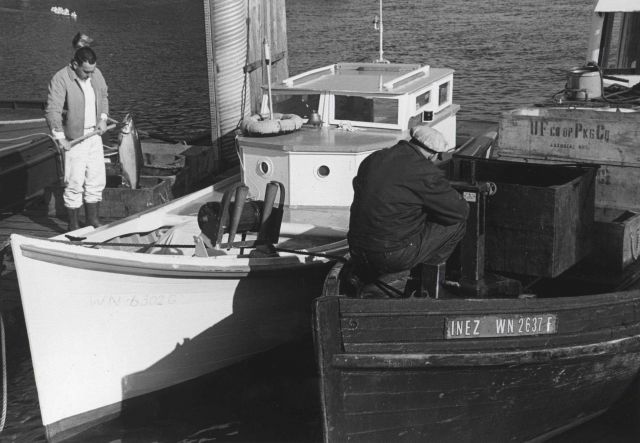 Buyer weighing salmon catch on right Picture