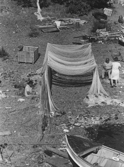 Native Americans repairing gill net on the banks of the Columbia River Picture