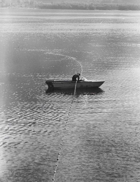 Native American gill net fishing for salmon Picture