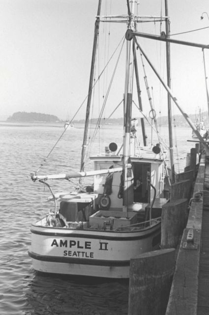 Salmon boat AMPLE II Picture