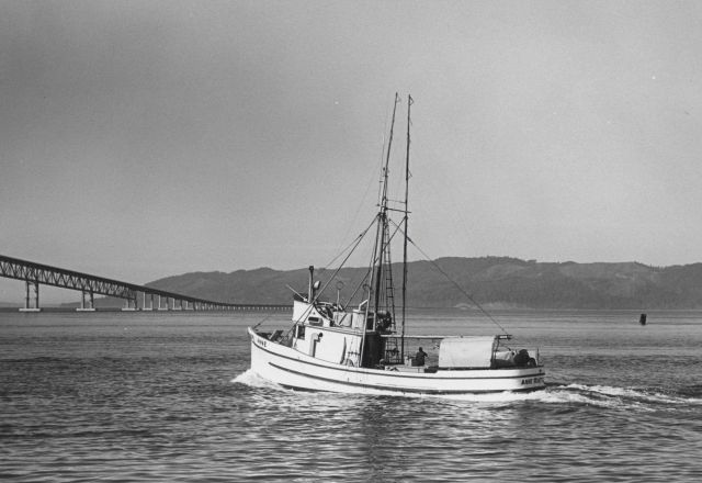 Salmon seiner ANNE off Astoria Picture