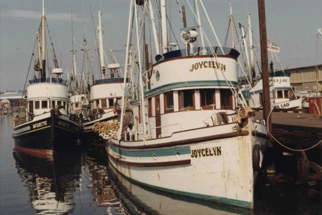 Salmon purse seiner JOYCELYN Picture