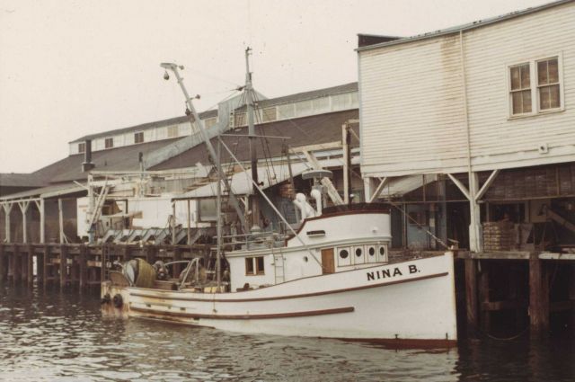 Salmon purse seiner NINA B. Picture