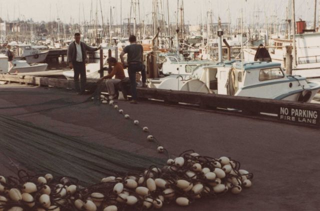 Repairing salmon nets Picture