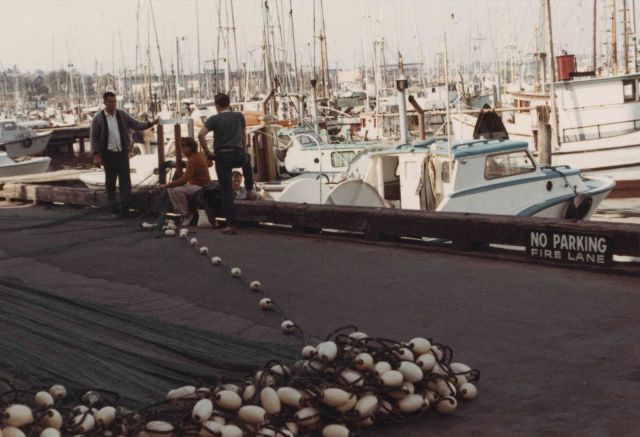 Repairing salmon nets Picture