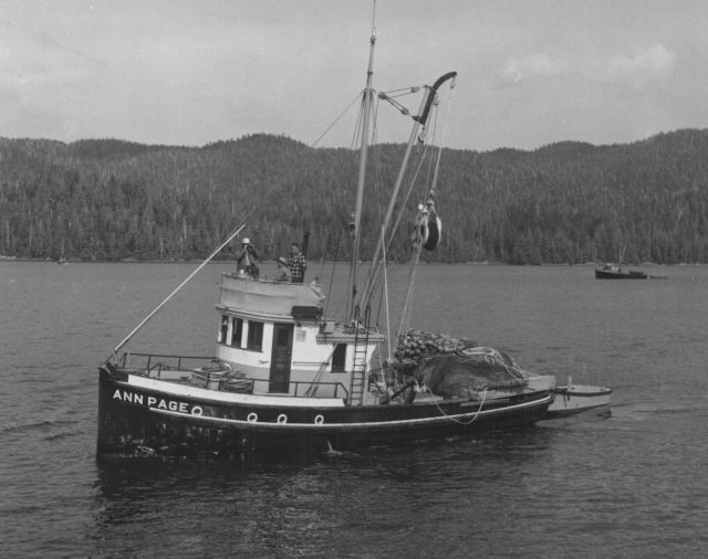 The small purse seiner ANN PAGE Picture