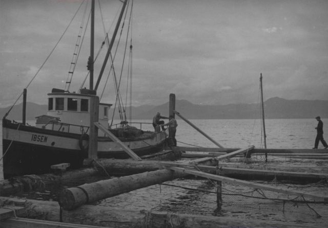 Brailing salmon - buy boat at Independent Canneries Fish Trap No Picture