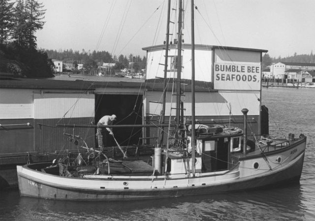 Salmon boat NORA docked at the Bumble Bee Seafoods dock Picture