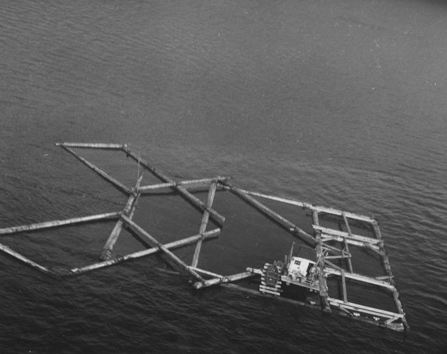 Fish trap for salmon Picture