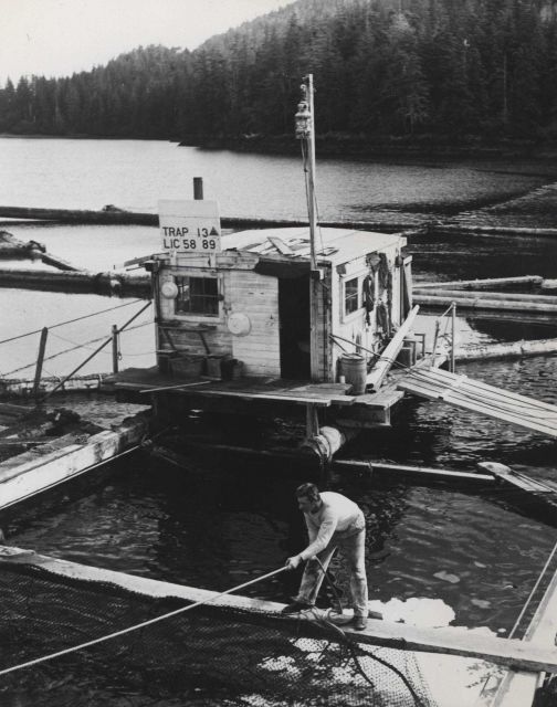 Fish trap for salmon Picture