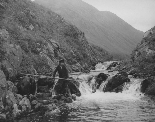 Native American netting sockeye salmon Picture