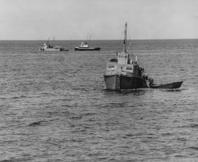 Salmon purse seiners Picture