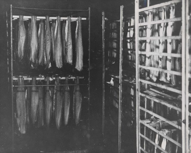 King salmon hanging in smokehouse at the South Bend Oyster Company. Picture