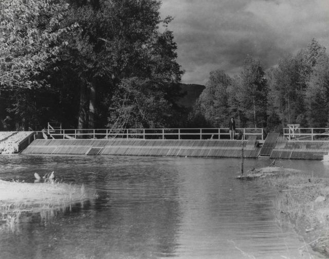 Nason Creek Weir Picture