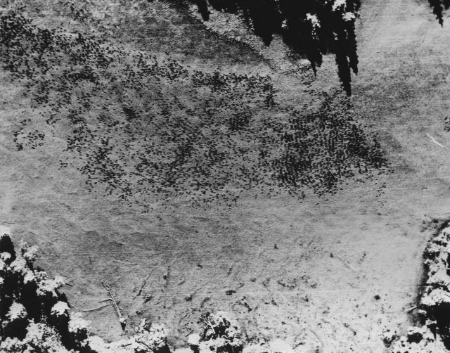 Aerial photo of salmon spawning in Bristol Bay area stream Picture