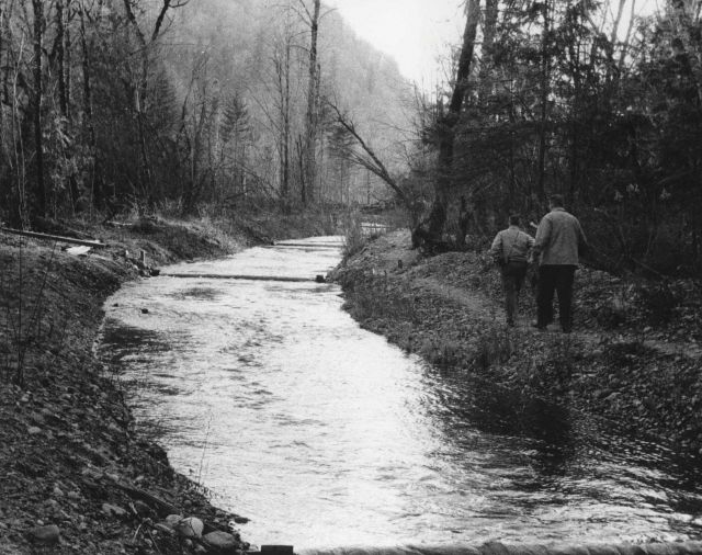 Artificial spawning ground at Jones Creek Picture