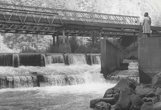 Looking upstream at the Little White Salmon Hatchery fish ladder Picture