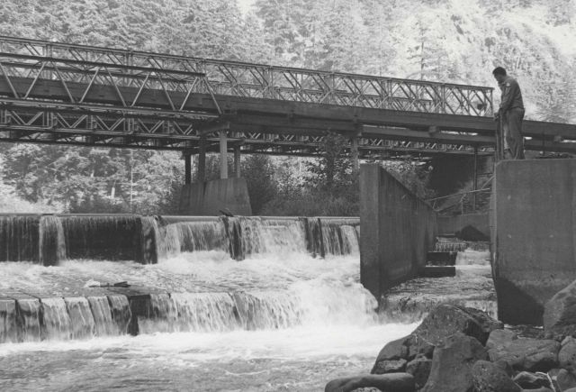 Looking upstream at the Little White Salmon Hatchery fish ladder Picture