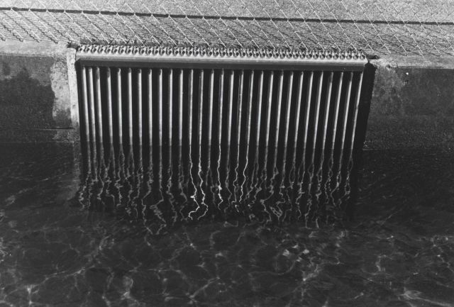 Metal grate at the Little White Salmon Hatchery Picture