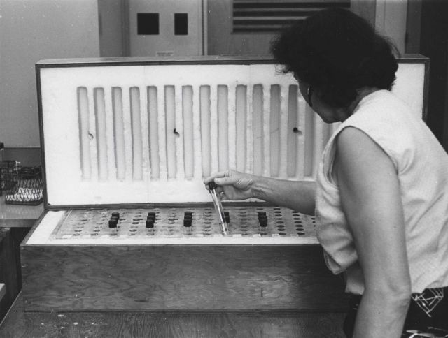 temperature gradient block for the study of the growth and development of sardine embryos and larvae. Picture