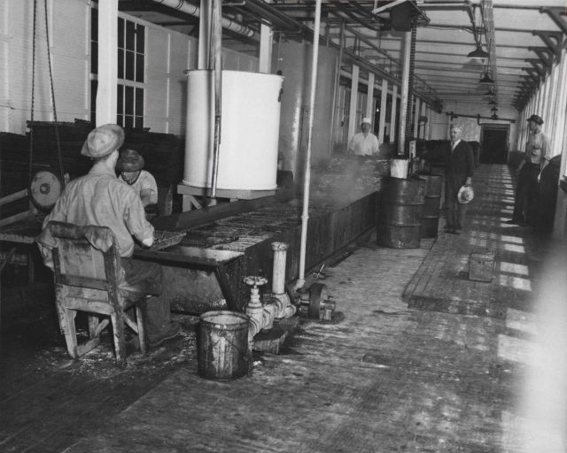 Pre-cooking sardine in cannery Picture