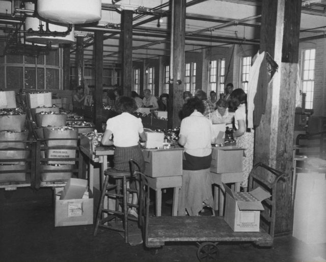 Women on assembly line at sardine cannery Picture