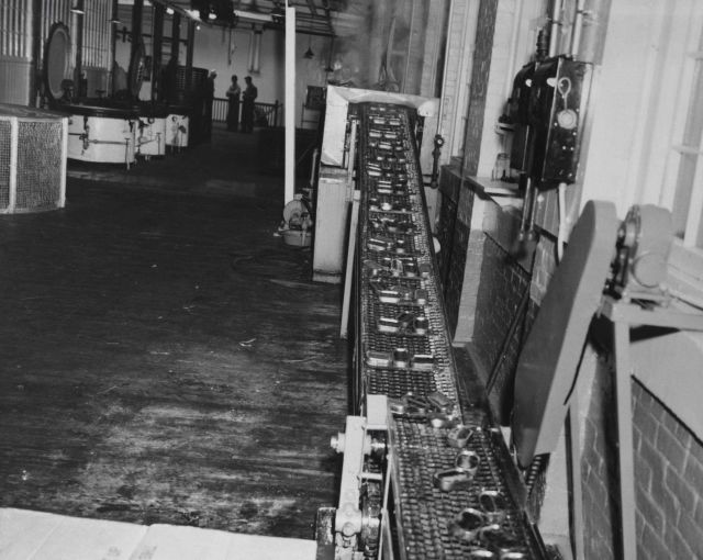 Cans of sardines on assembly line Picture