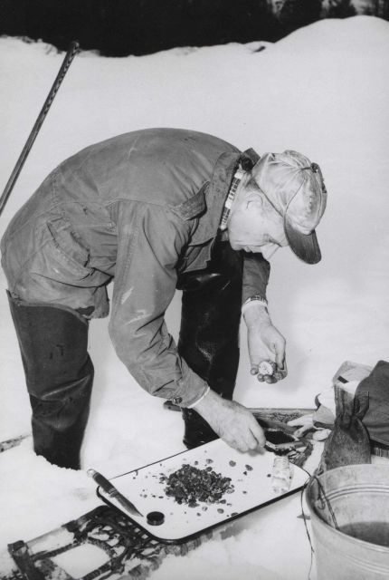 Counting live and dead salmon eggs from 