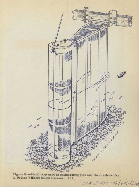 Metal trap used in enumerating pink and chum salmon fry in Prince William Sound streams. Picture