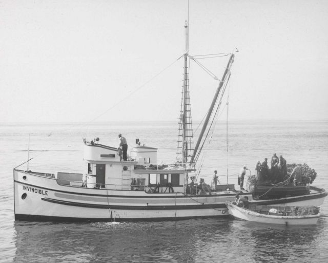 Sockeye salmon purse seiner with net just hauled and preparing to 