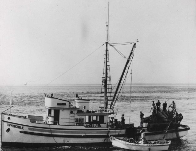 Sockeye salmon purse seiner with net just hauled and preparing to 